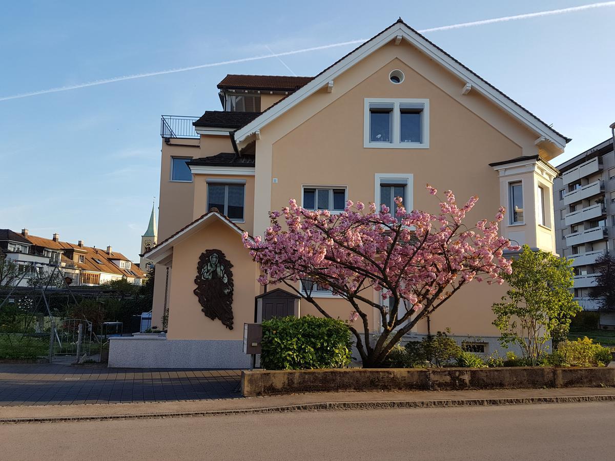 Birsfelden Niros Bed & Breakfast المظهر الخارجي الصورة